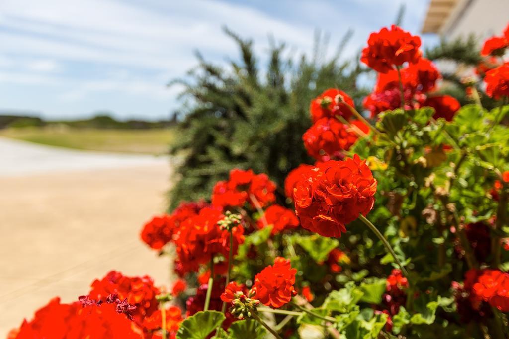 Cottages For Couples Port Fairy Ngoại thất bức ảnh